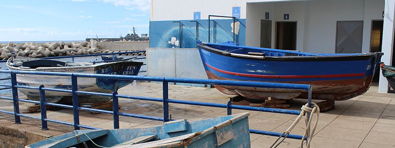 Trbtar vid hamnen i Funchal, Madeira.